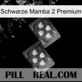 Black Mamba 2 Premium 14